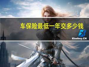 车保险最低一年交多少钱（车保险最低一年交多少）
