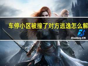 车停小区被撞了对方逃逸怎么解决