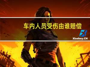车内人员受伤由谁赔偿
