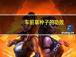 车前草种子的功效