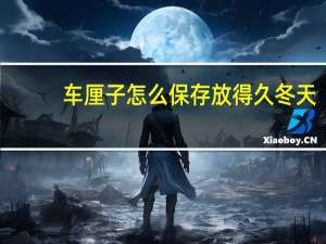 车厘子怎么保存放得久冬天（车厘子怎么保存才新鲜）