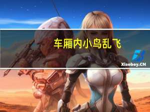 车厢内小鸟乱飞？广州地铁提醒 到底什么情况嘞