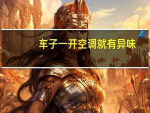 车子一开空调就有异味