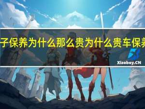 车子保养为什么那么贵 为什么贵车保养成本高