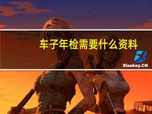 车子年检需要什么资料