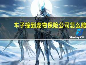 车子撞到宠物保险公司怎么赔