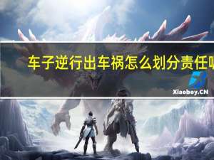 车子逆行出车祸怎么划分责任呢