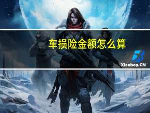 车损险金额怎么算