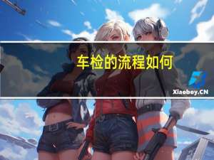 车检的流程如何