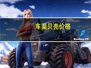车渠贝壳价格（车渠）