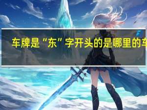 车牌是“东”字开头的是哪里的车子