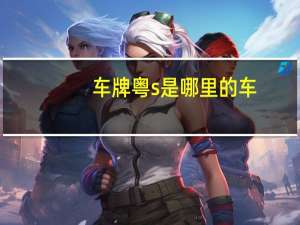 车牌粤s是哪里的车