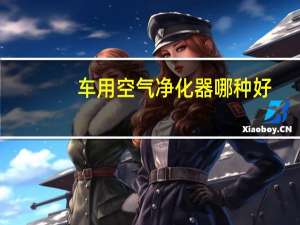 车用空气净化器哪种好（车用空气净化器）