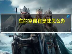 车的空调有臭味怎么办