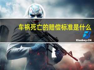车祸死亡的赔偿标准是什么