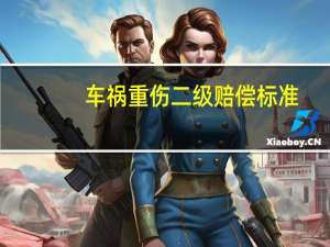 车祸重伤二级赔偿标准