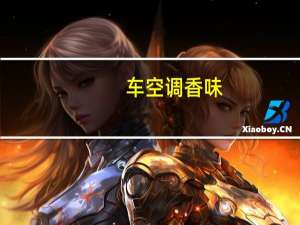 车空调香味