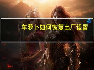 车萝卜如何恢复出厂设置（车萝卜）