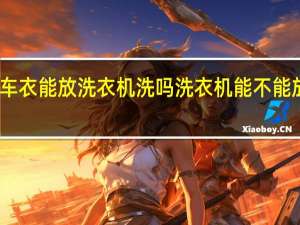 车衣能放洗衣机洗吗 洗衣机能不能放车衣