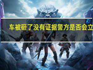 车被砸了没有证据警方是否会立案