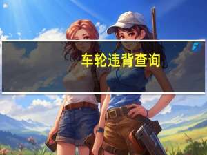 车轮违背查询（车轮违章查询电脑版）