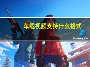 车载视频支持什么格式