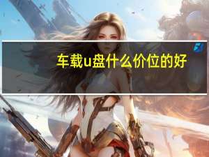 车载u盘什么价位的好（车载u盘什么牌子好）