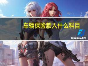 车辆保险款入什么科目