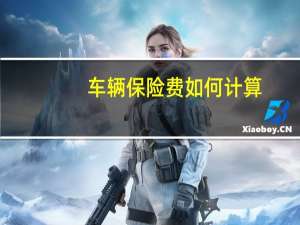 车辆保险费如何计算（车辆保险费如何计算公式）