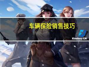 车辆保险销售技巧