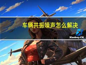 车辆共振噪声怎么解决