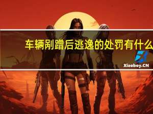 车辆剐蹭后逃逸的处罚有什么