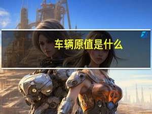 车辆原值是什么