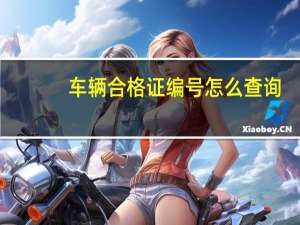车辆合格证编号怎么查询