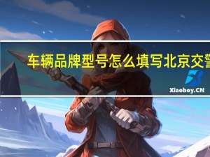 车辆品牌型号怎么填写北京交警（车辆品牌型号怎么填）