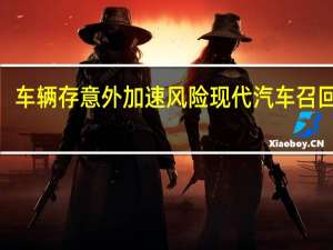 车辆存意外加速风险 现代汽车召回近3.8万辆伊兰特