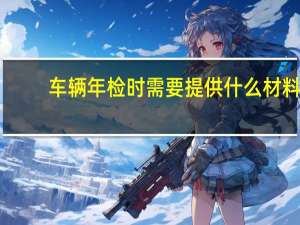 车辆年检时需要提供什么材料