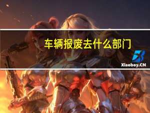 车辆报废去什么部门