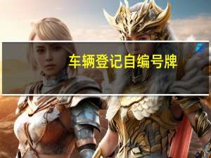 车辆登记自编号牌（小型汽车网上自主编号申请）