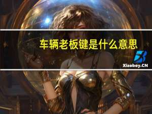 车辆老板键是什么意思（老板键是什么意思）