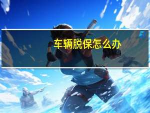 车辆脱保怎么办