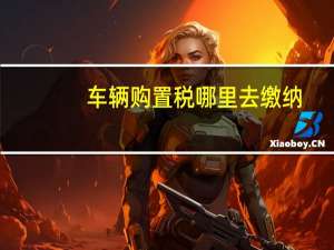 车辆购置税哪里去缴纳