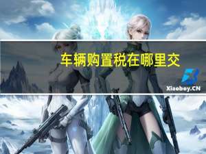 车辆购置税在哪里交