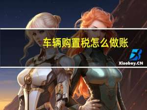 车辆购置税怎么做账
