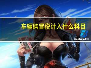 车辆购置税计入什么科目