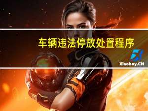 车辆违法停放处置程序