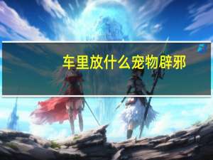 车里放什么宠物辟邪