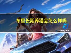 车里长期养猫会怎么样吗