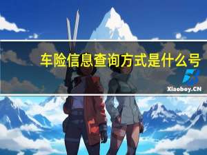 车险信息查询方式是什么号（车险信息查询方式是什么）