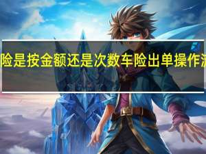 车险出险是按金额还是次数 车险出单操作流程是怎样的